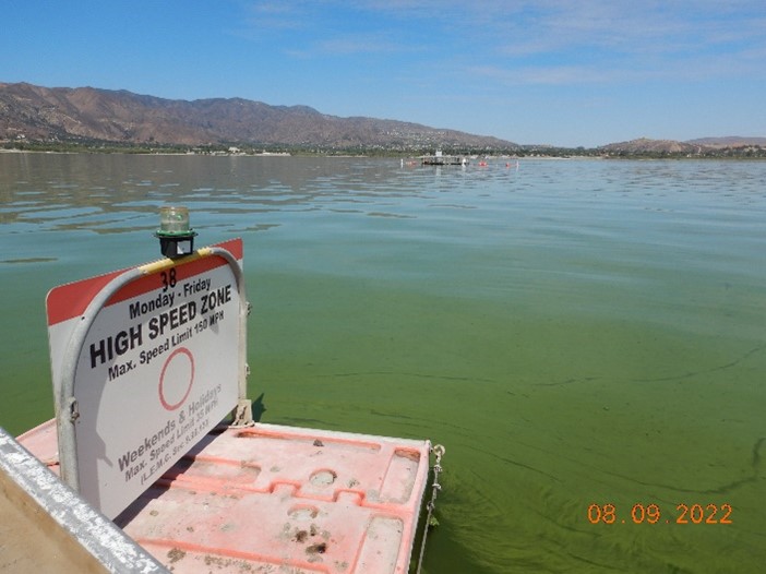 Harmful algal bloom prompts warning to stay out of water at Lake Elsinore