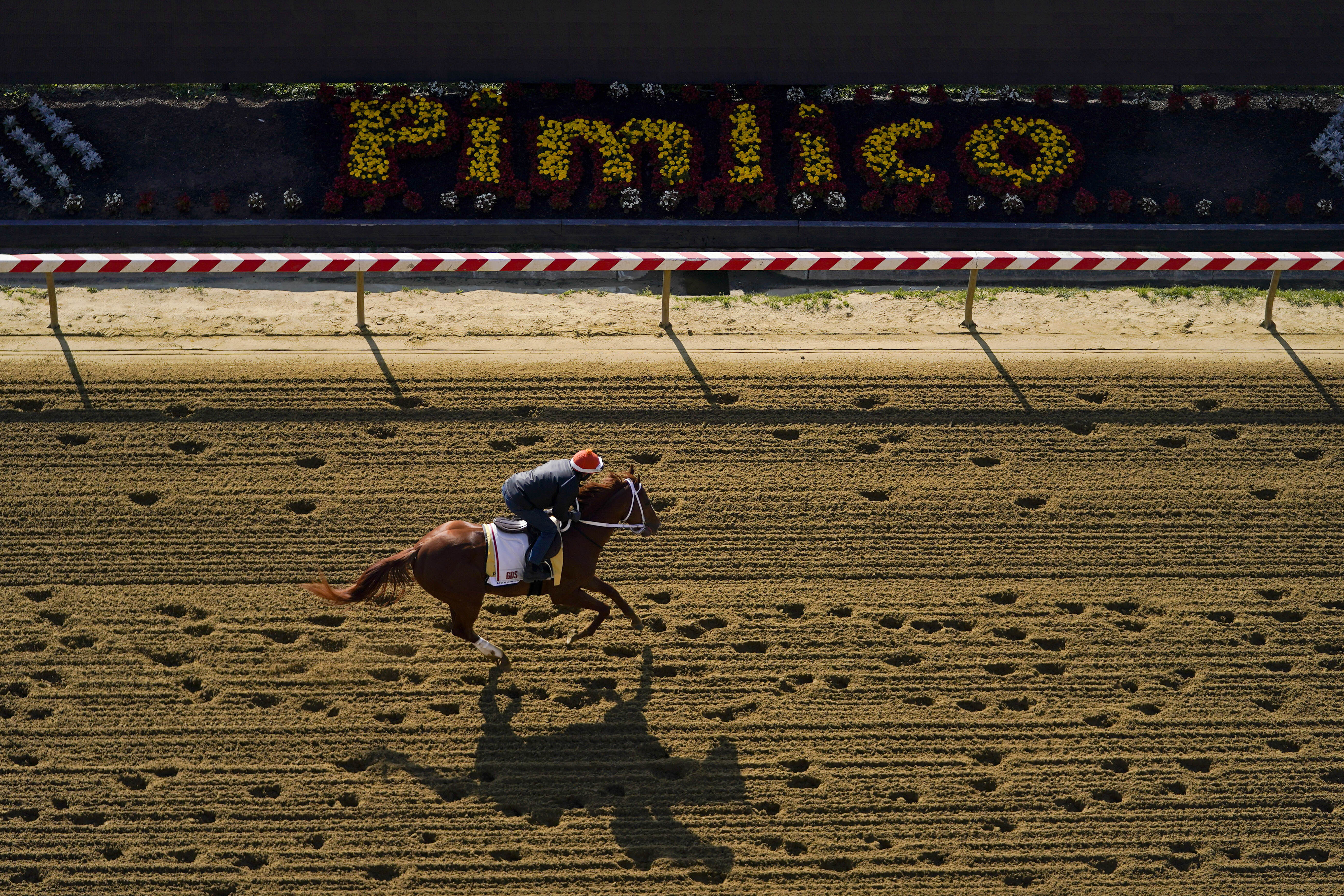 APTOPIX Preakness Horse Racing