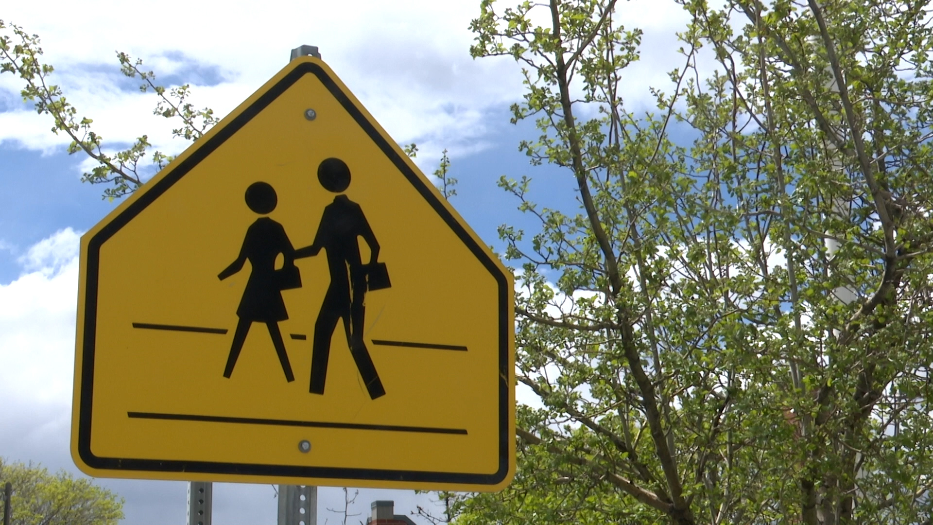 School Crossing