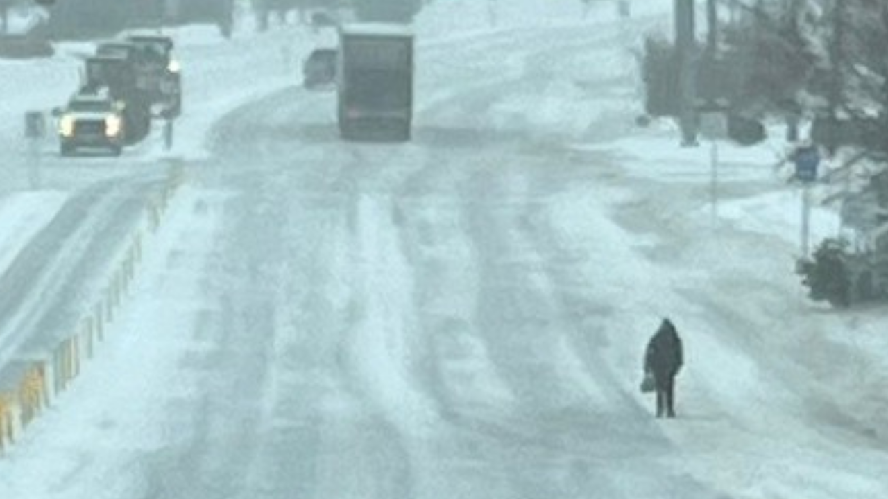 Scott THUMB road walkers.png