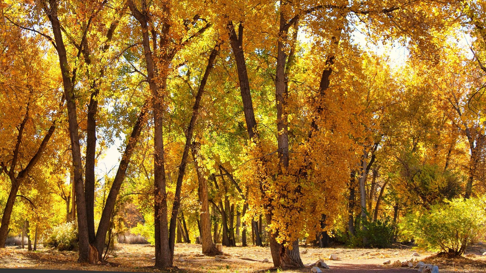 Florence CO Carol Gebhart fall river park