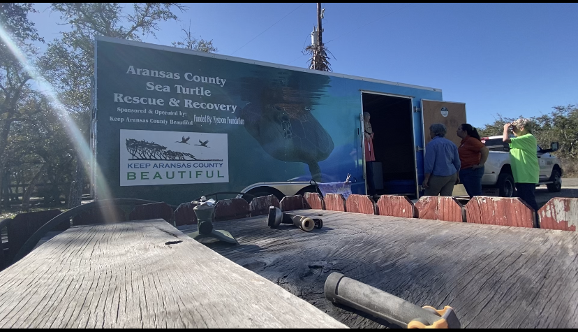 One-of-a-kind trailer changing how turtles are rescued in the coastal bend - Vimarsana News