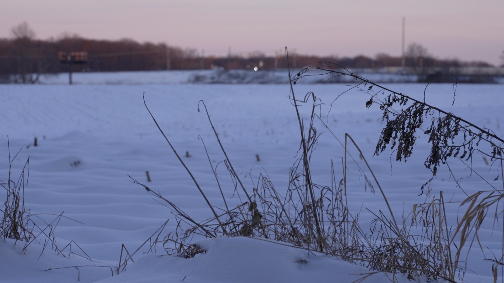 Covenant Business Park