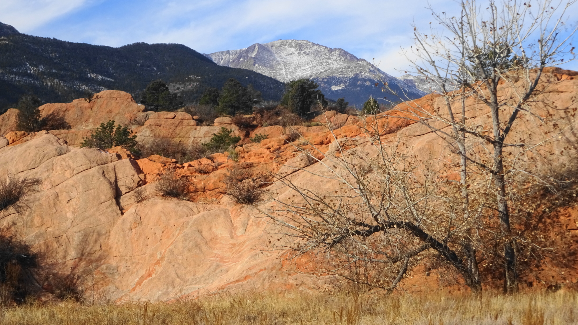 A nice day at Red Rocks Canyon Park