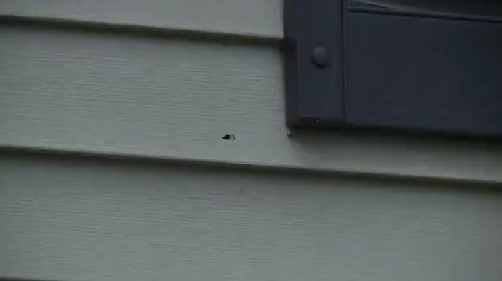 Teen Shot Stray Bullet Powell Street.png