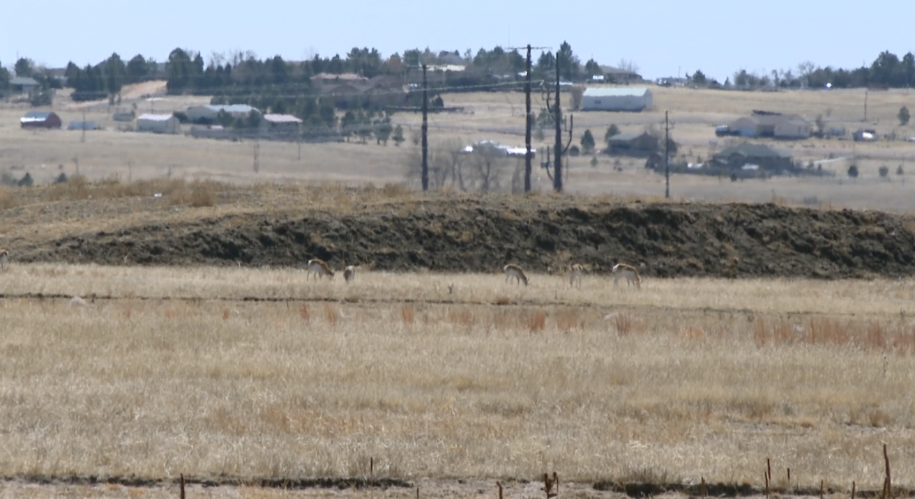 Eastern Colorado Springs homeowners prep for possible high fire risks from neighboring prairies