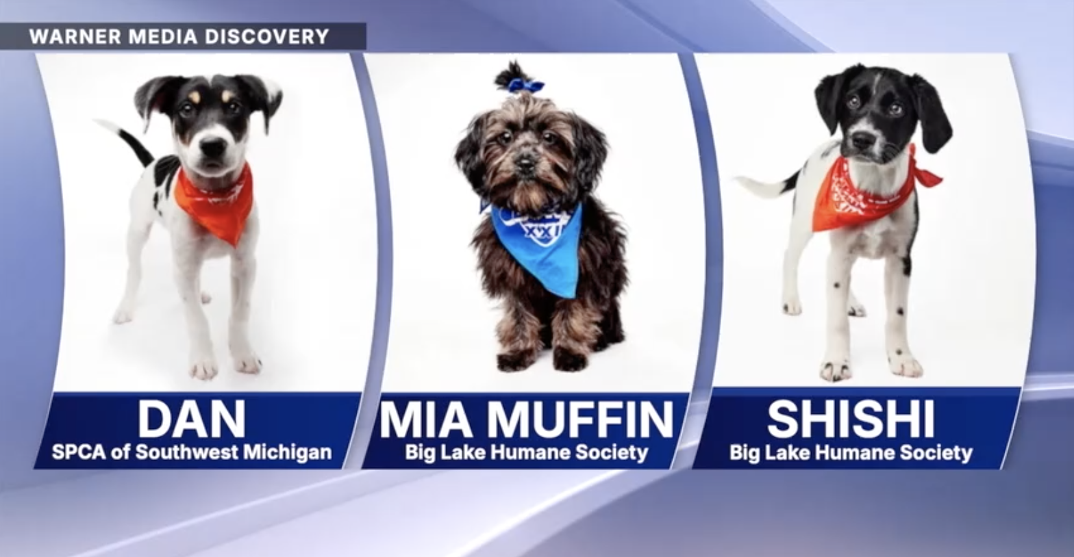 Screenshot 2026-02-06 at 5.59.09 AM.png