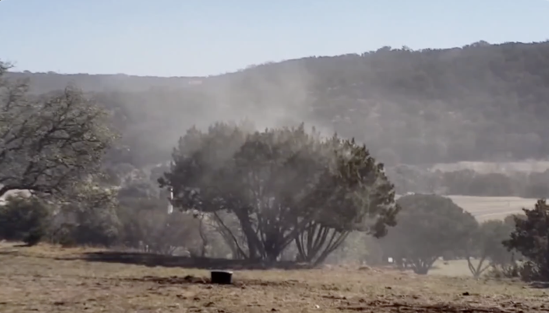 The yellow snow is here: cedar fever blankets the Brazos Valley