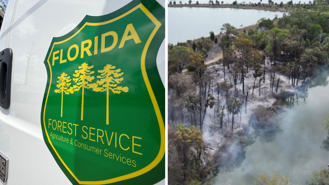 Red Flag Warning issued for Tuesday as fire danger rises across Tampa Bay