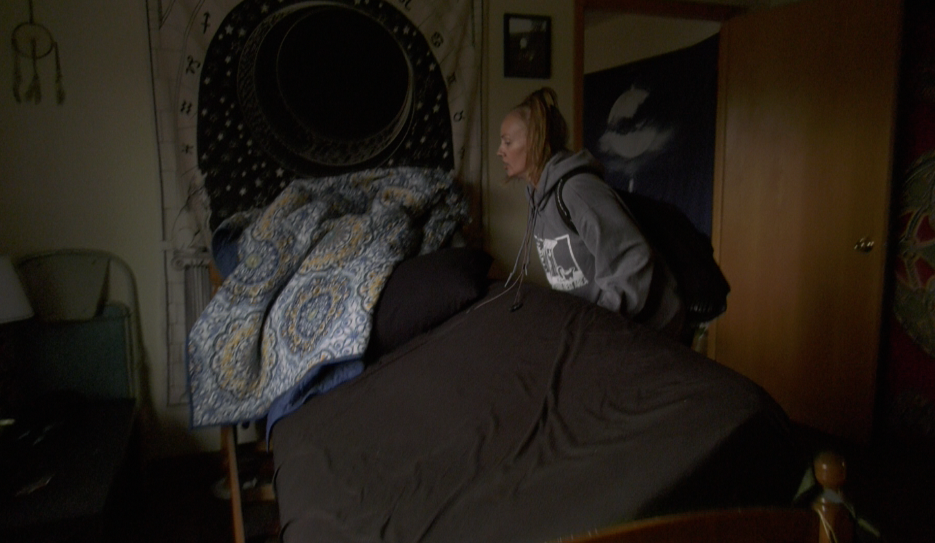 Bed Bugs.png