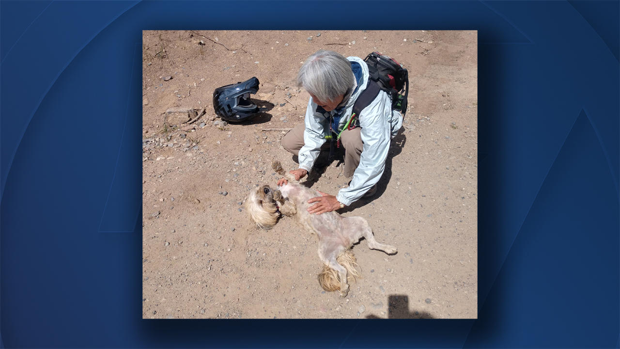 SCRG and SLPR dog rescue.jpg