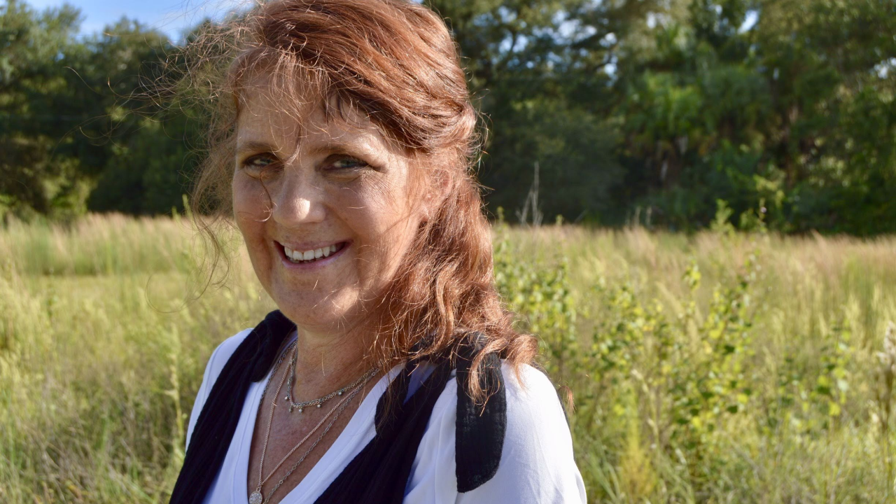 hit and run christmas.png