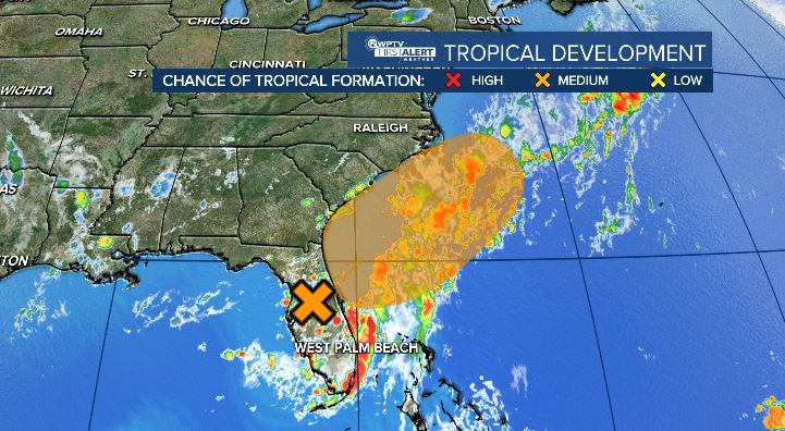 tropics.JPG