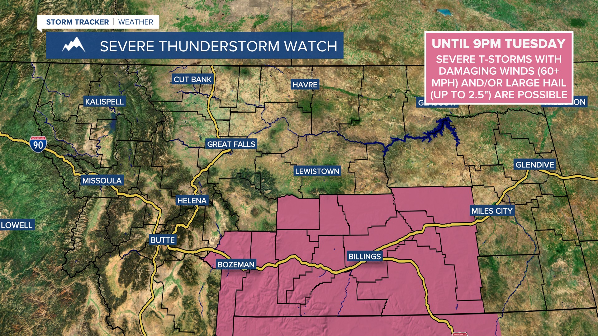 Severe Thunderstorm Watch