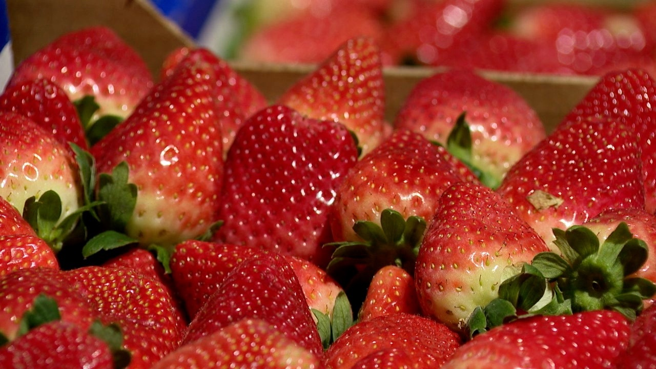 strawberries.png