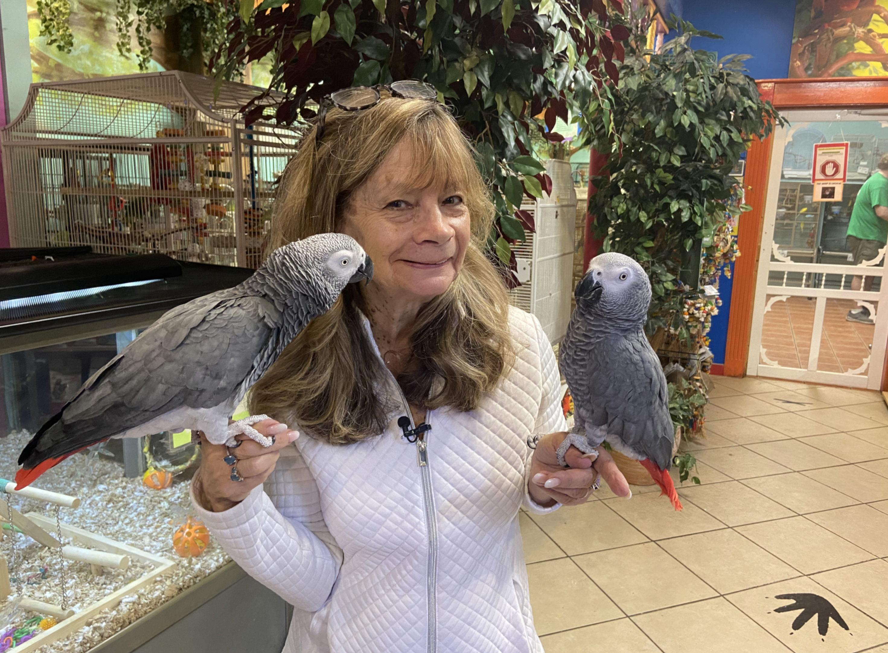 Preuss Pets