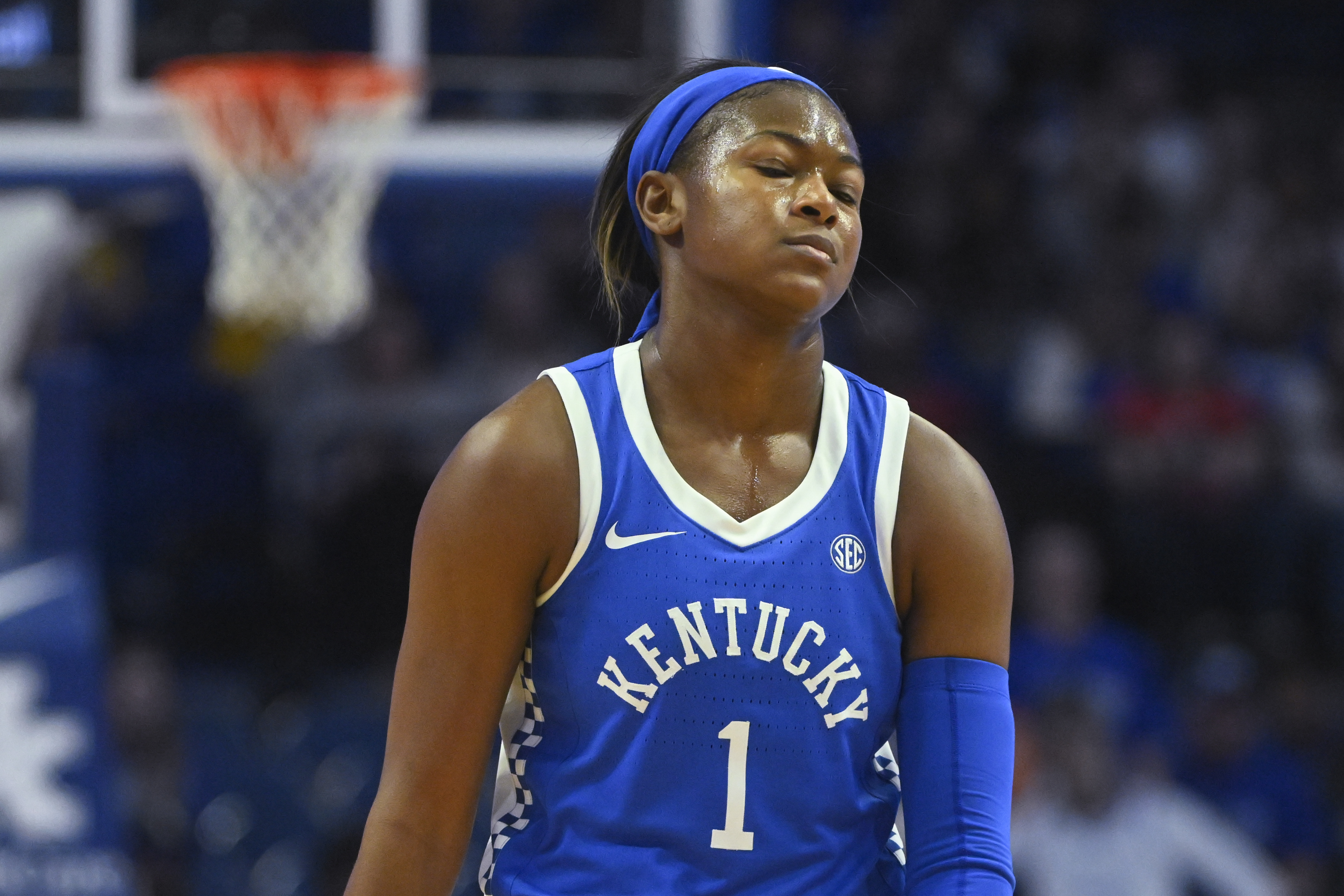 Louisville Kentucky Basketball