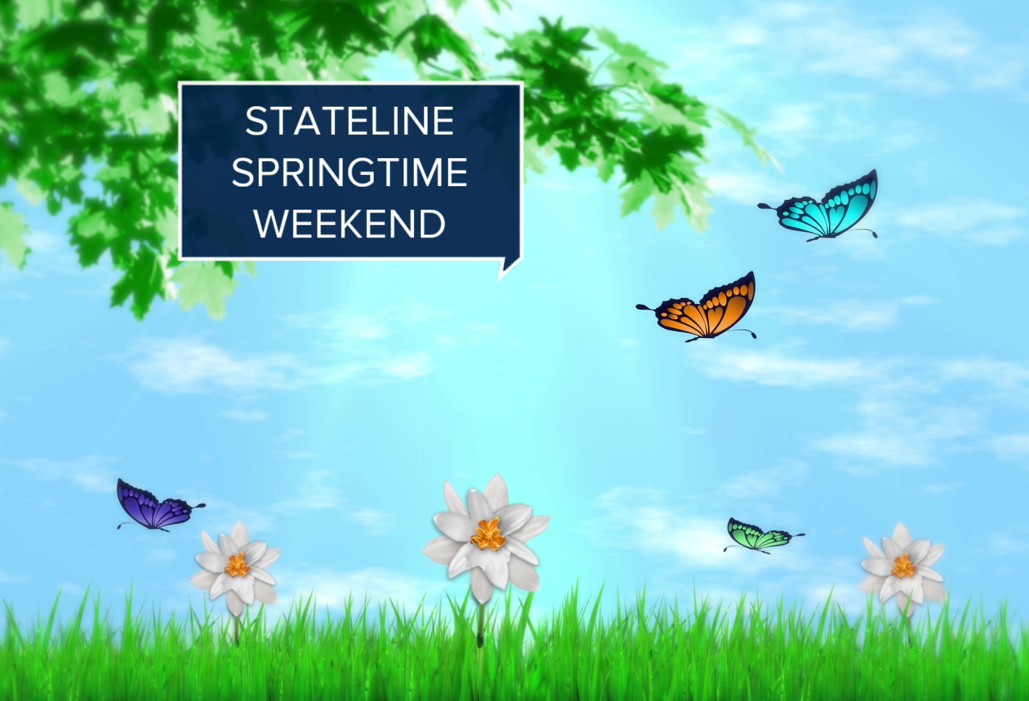 Saturday morning thumbnail