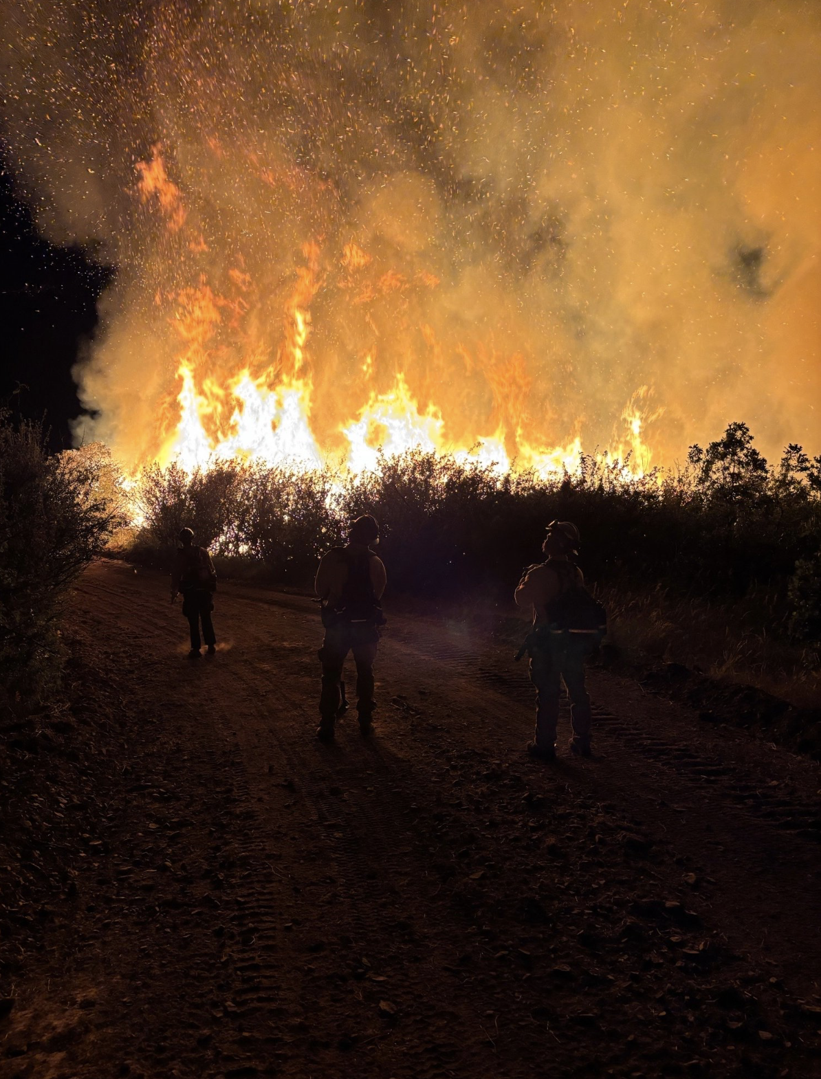 Front Range firefighters helping with Western Slope wildfires