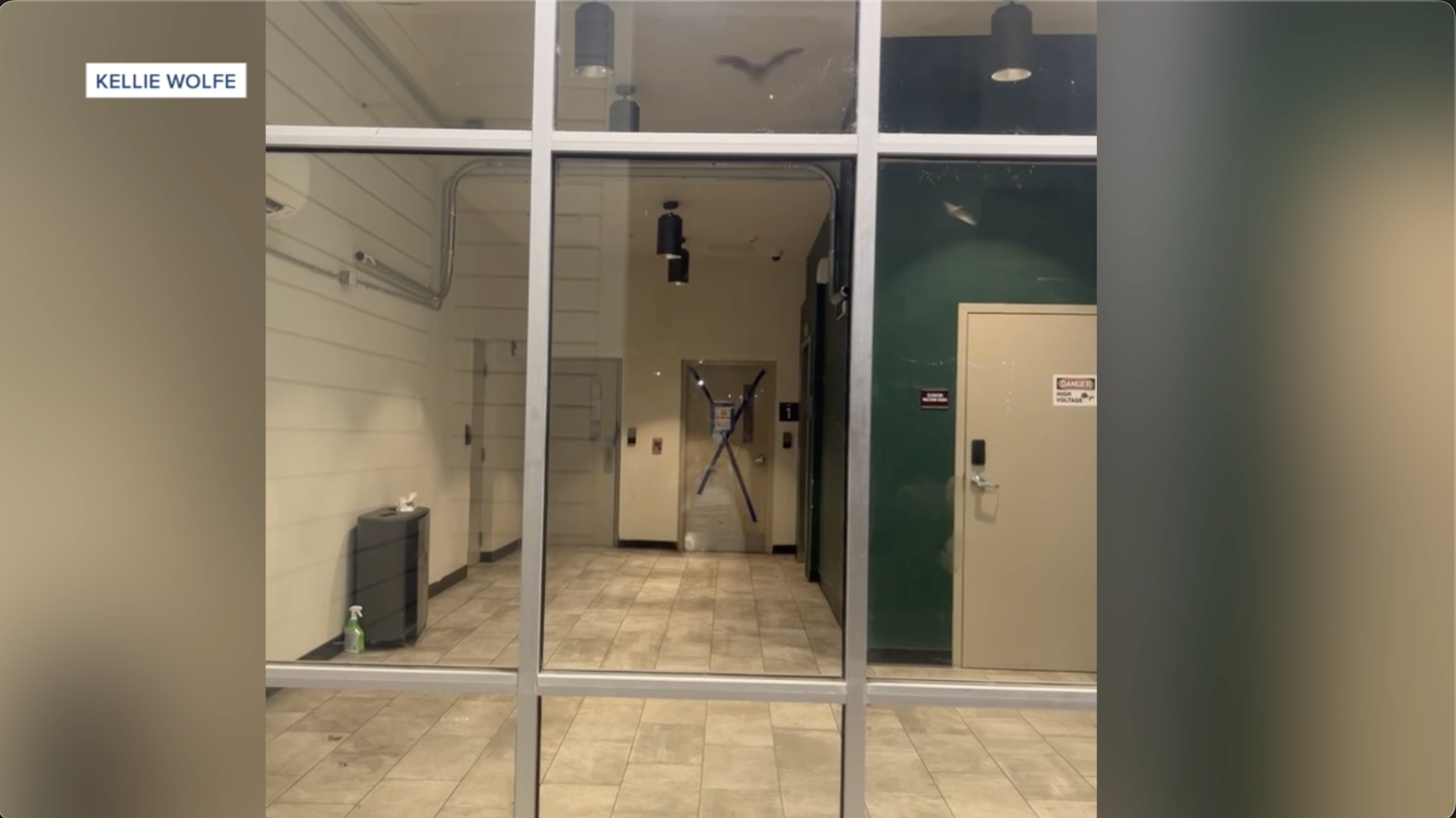 Concern among parents, students grow over bats living in Tallahassee student apartment stairwell