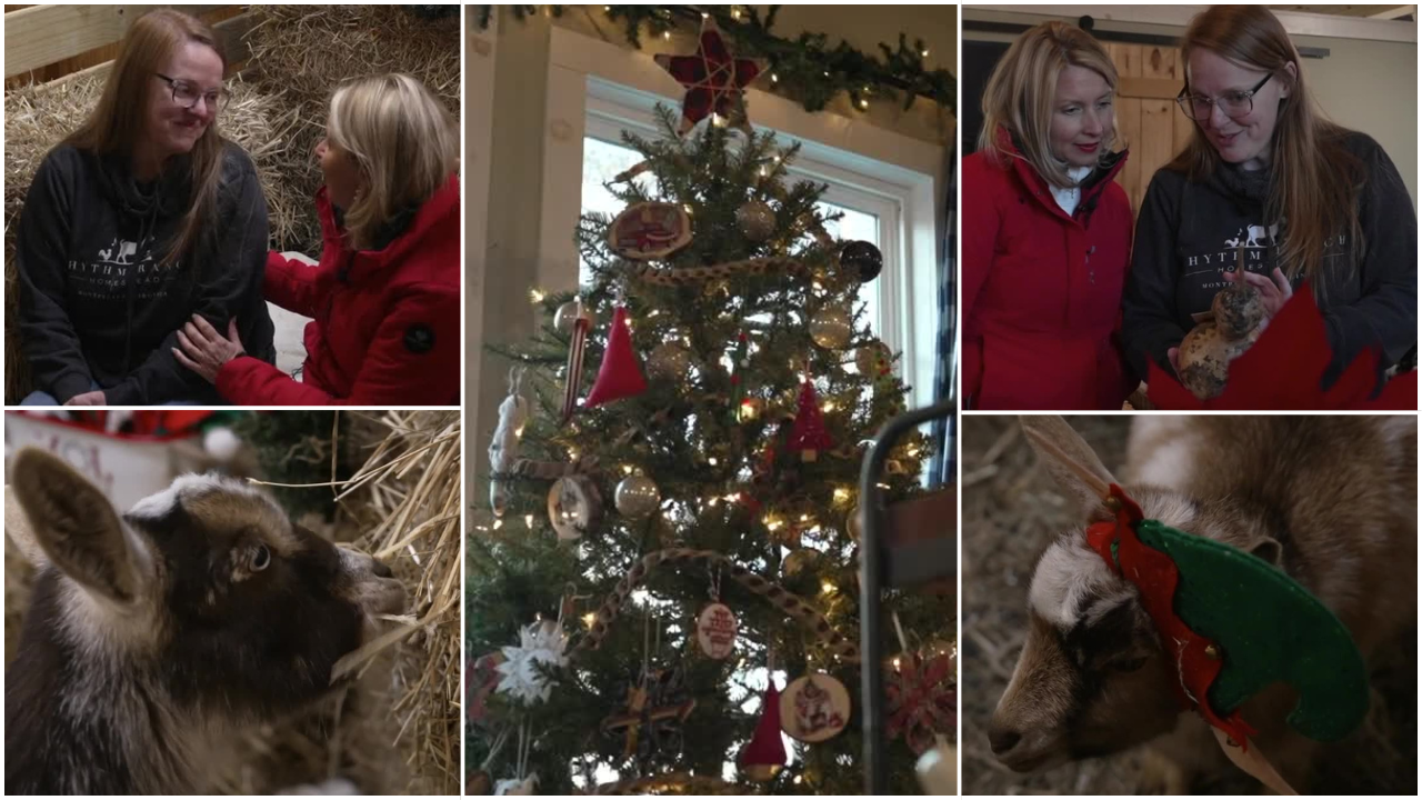 Kari Smith Rhythm Ranch Homestead in Montpelier