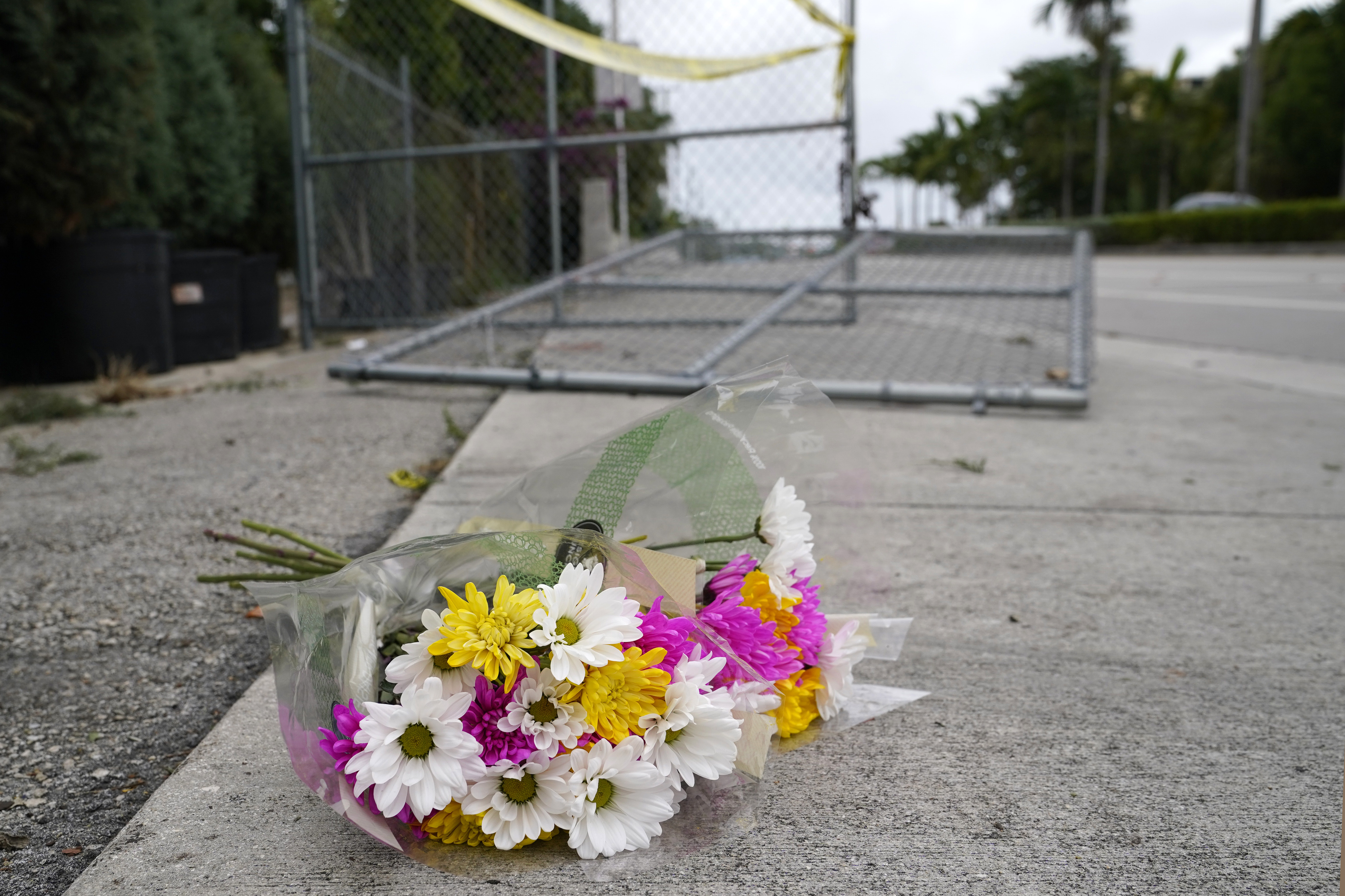 Officials: Deadly Pride parade crash appears unintentional