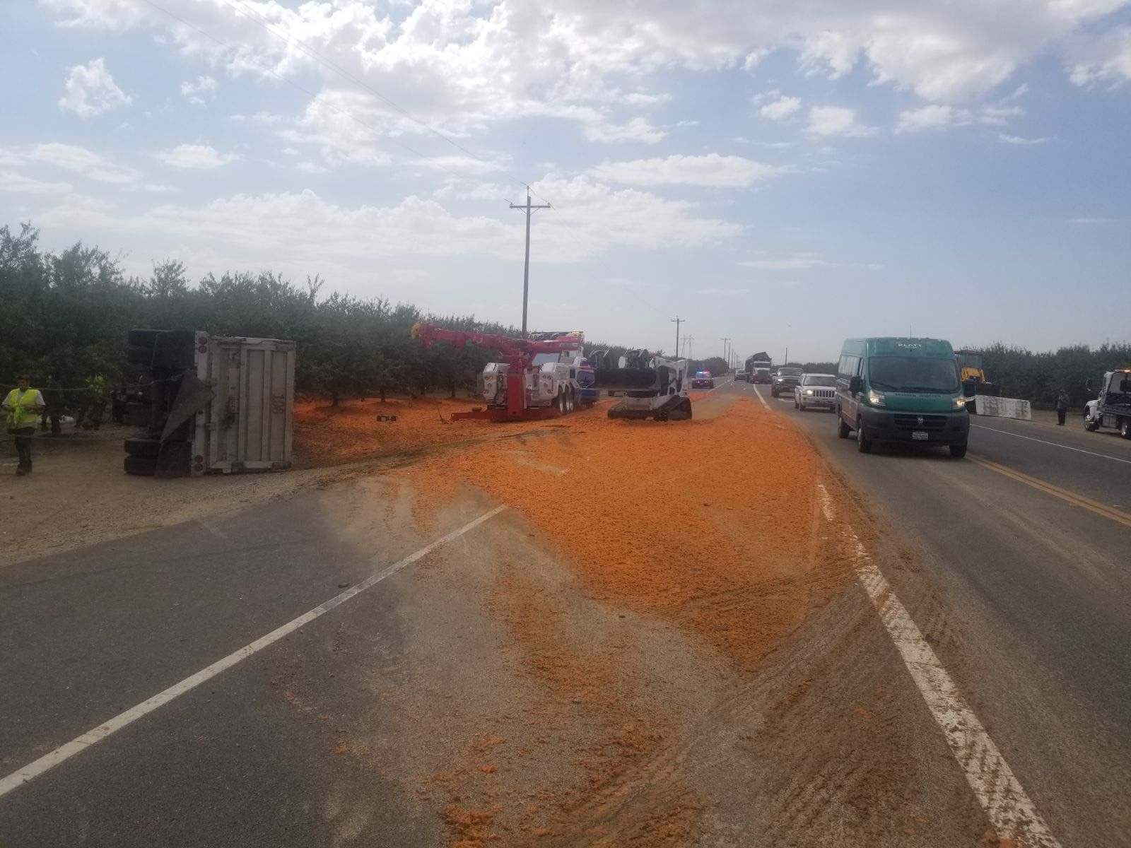 Carrots Spilled on Highway