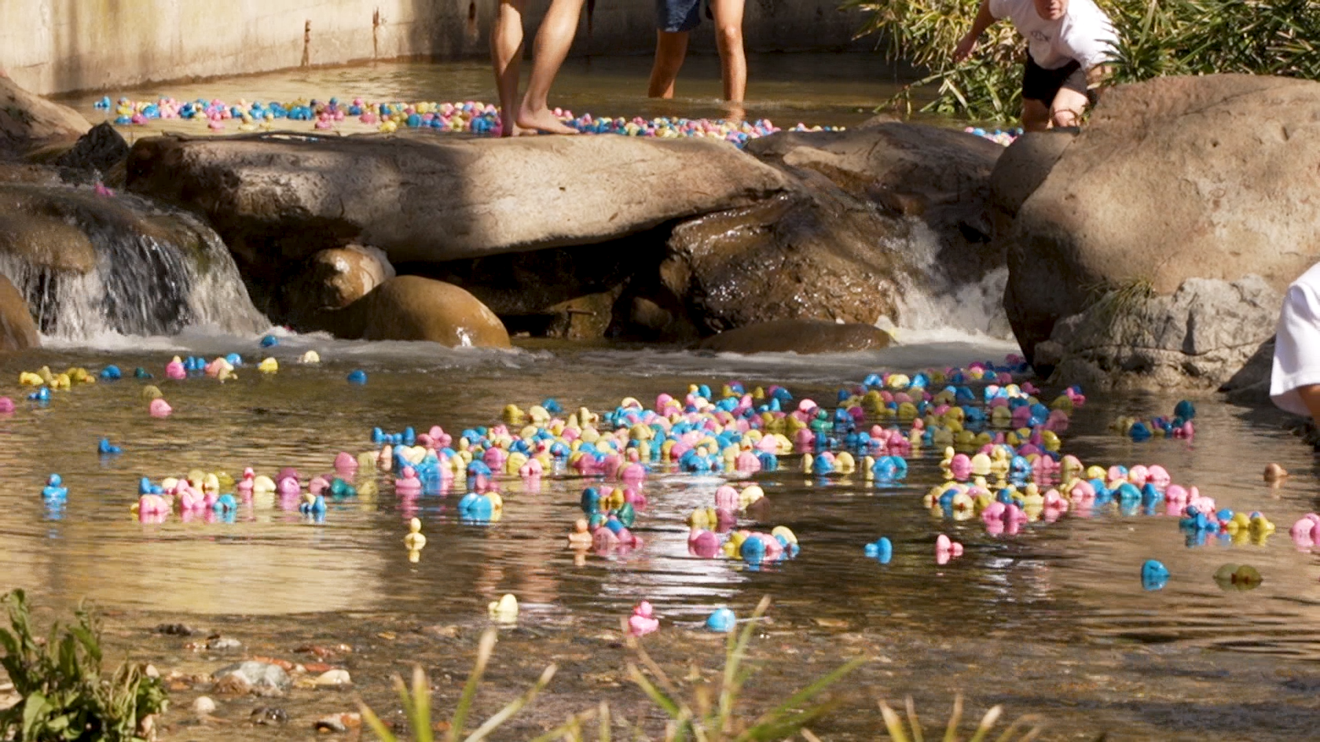 RUBBER DUCK DERBY SVO.00_00_17_14.Still001.png