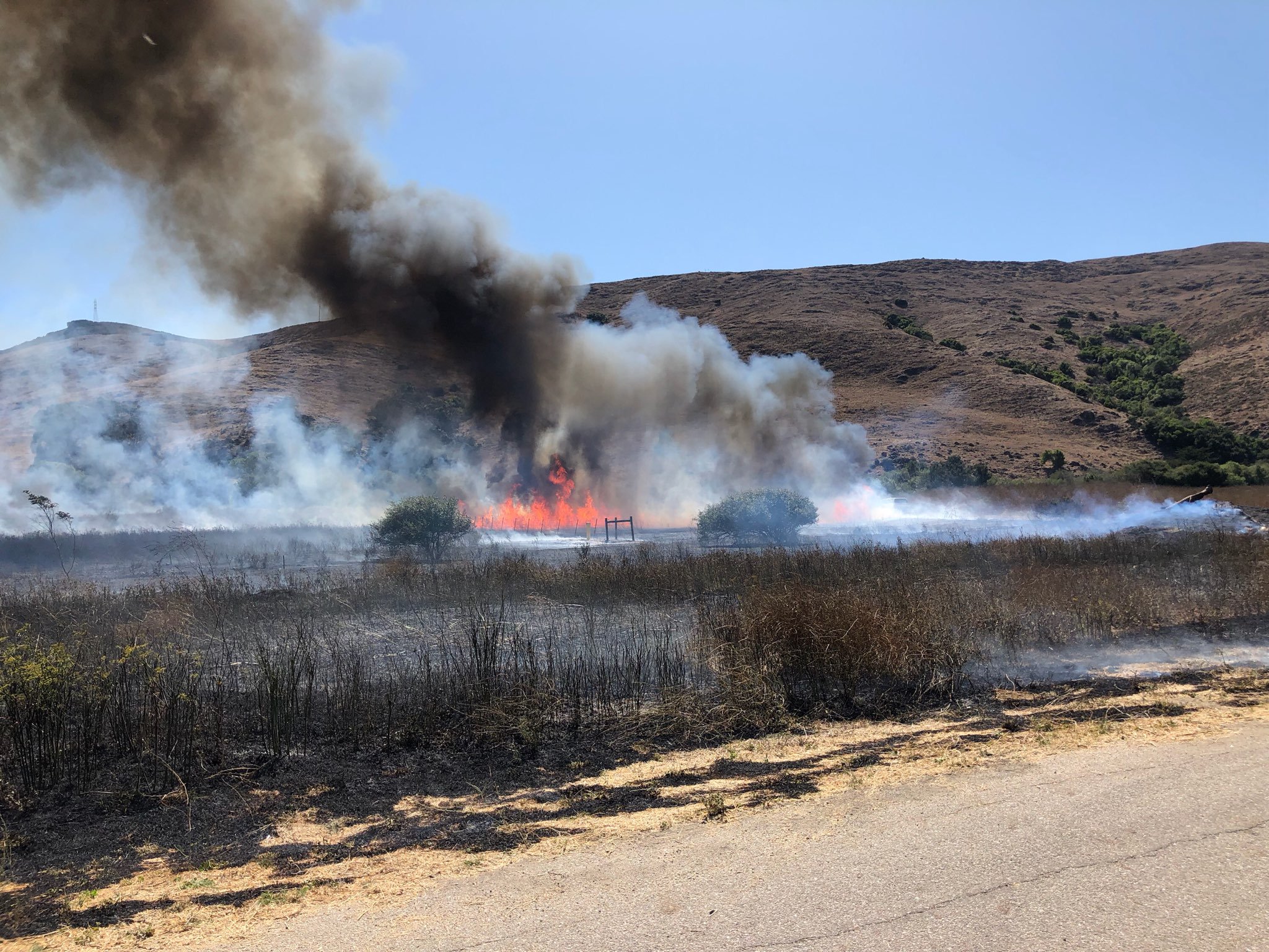 prescribed burn.jfif