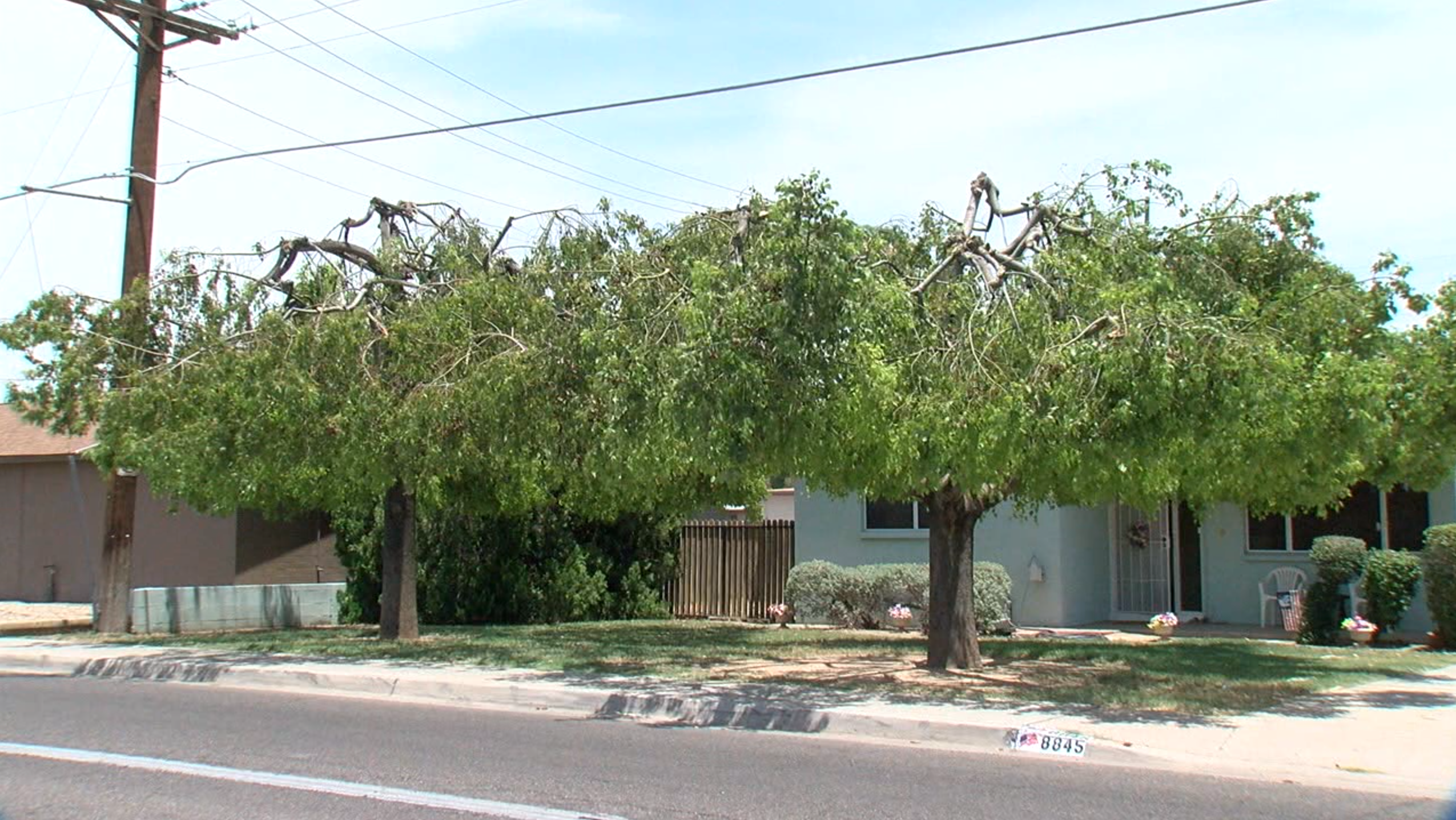 KNXV Homeowner Upset at SRP Tree Trimming