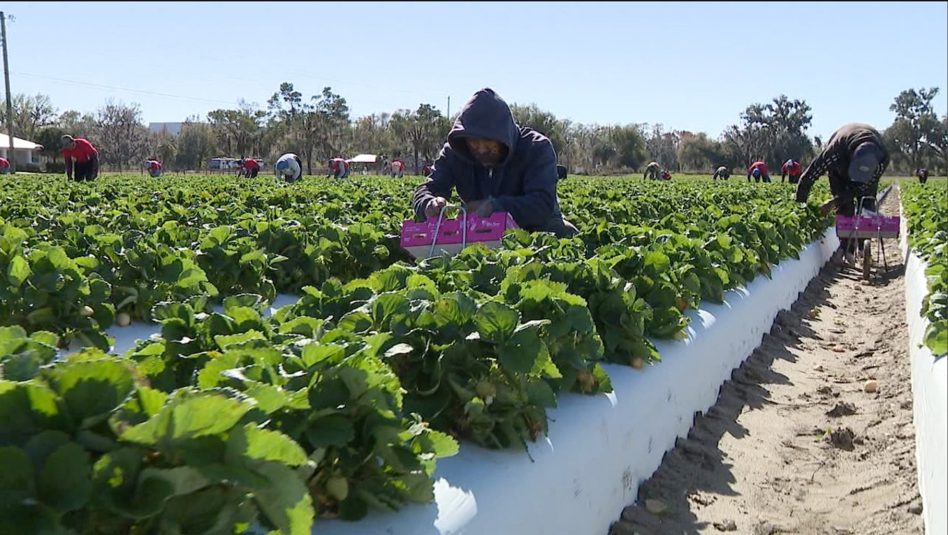 iran war and farmers