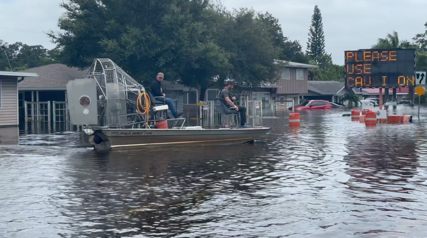 Sarasota Debby Rescues