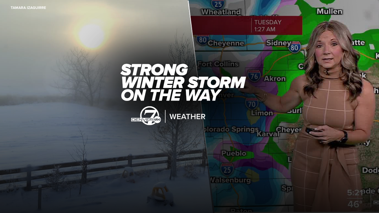 2winter storm forecast.png