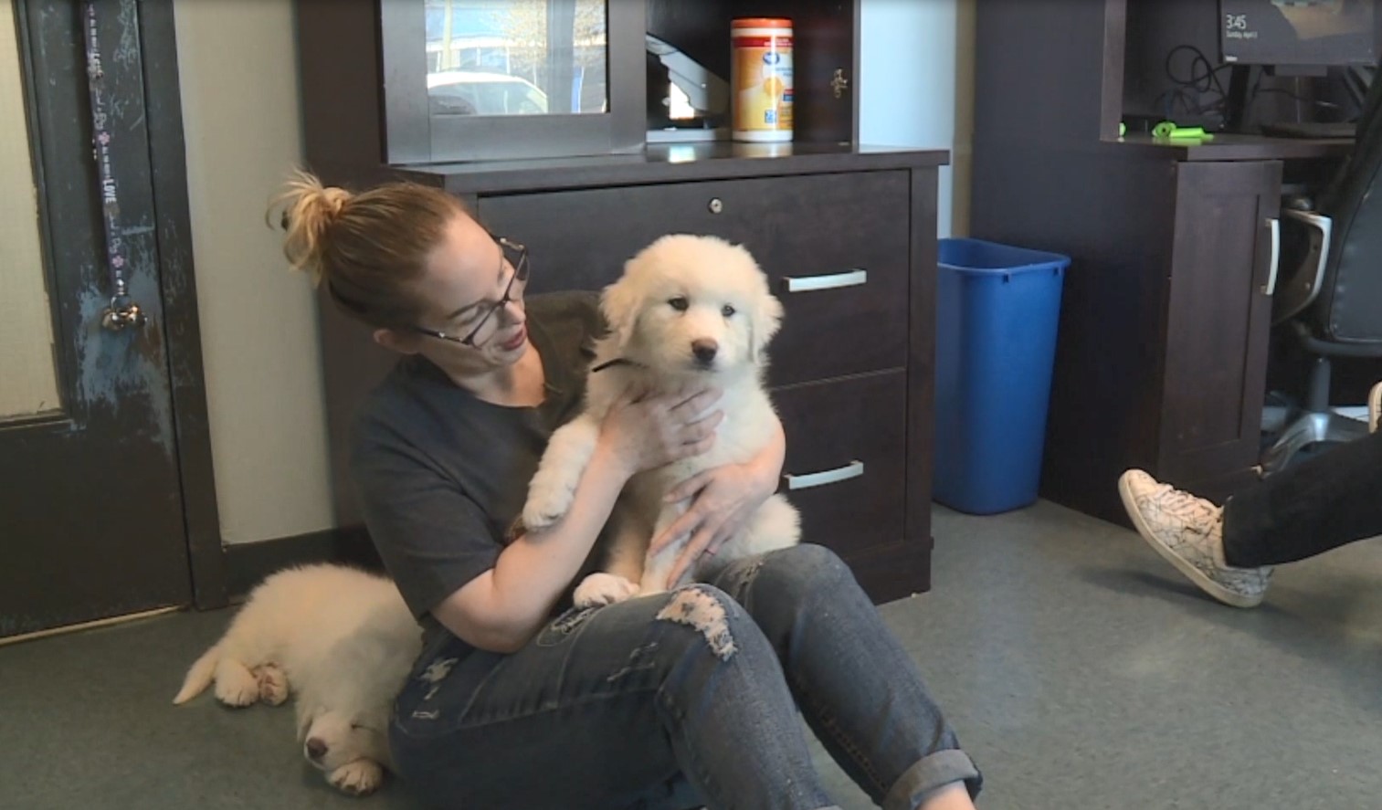 RACC Puppy cuddles.jpg