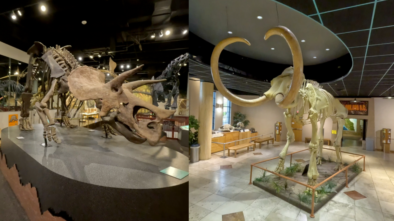 Arizona Museum of Natural History.png