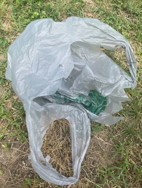 plastic bag.jpg