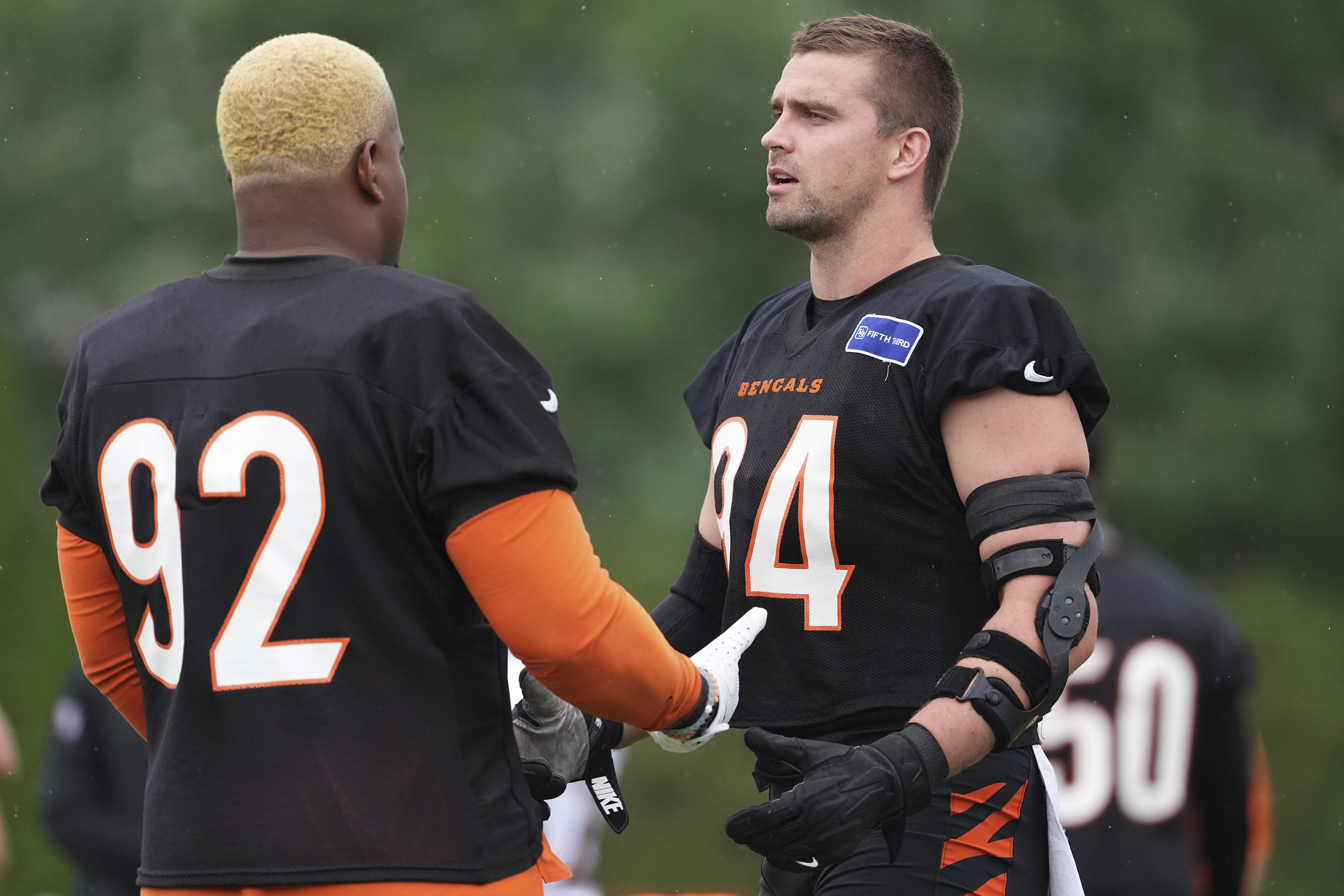 Bengals Football