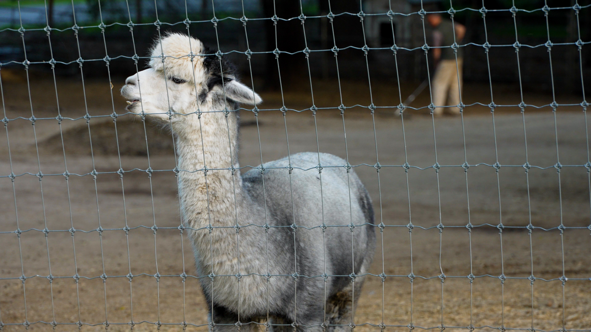 New SLO County Farm Trail Website SVO.00_00_18_04.Still001.jpg