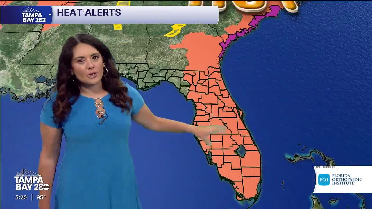7.9 pm forecast