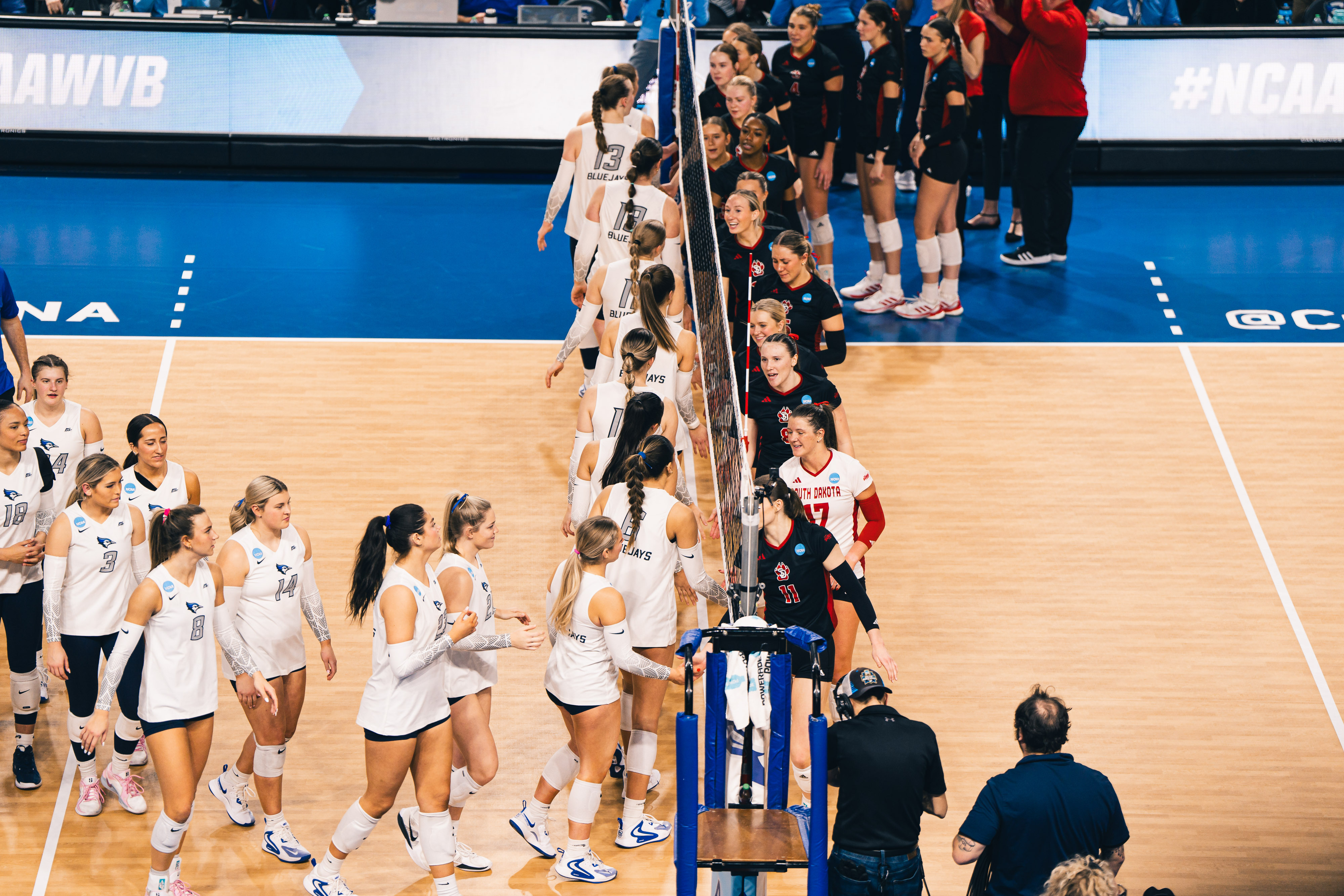 Creighton volleyball beats South Dakota in round one of the 2024 NCAA tournament.