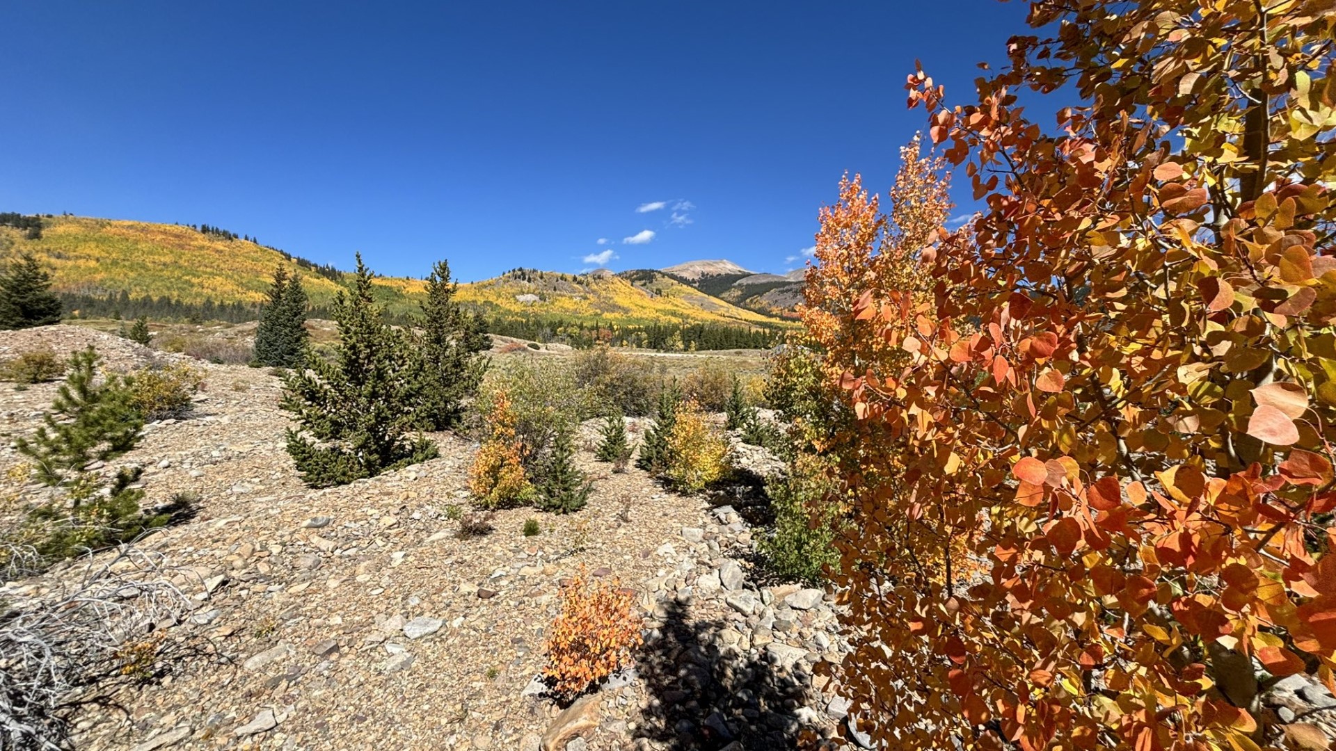 Boreas Pass