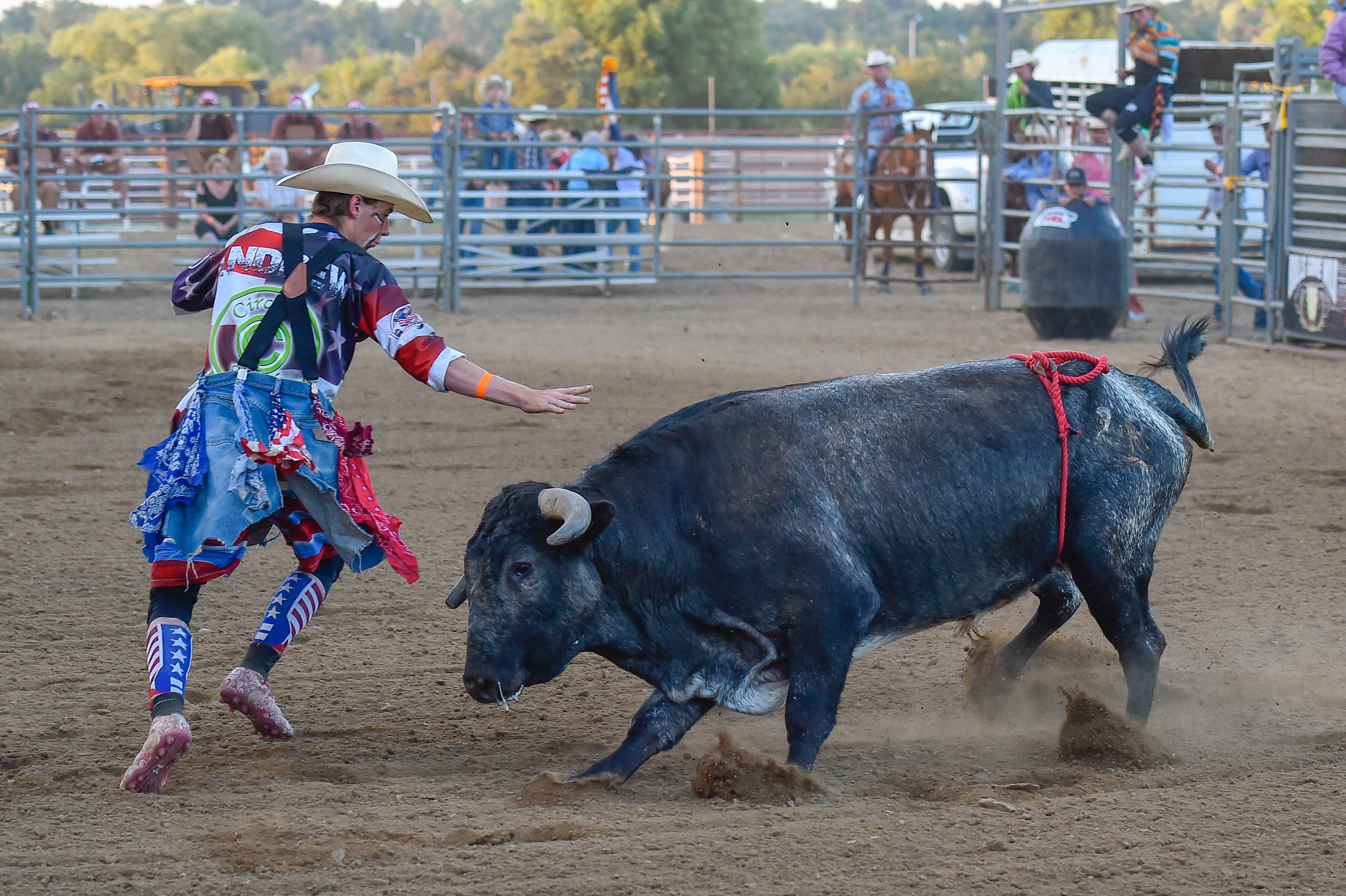 BOULDER COUNTY FAIR_Bull Ride and Fighting_Steve Oathout.jpg