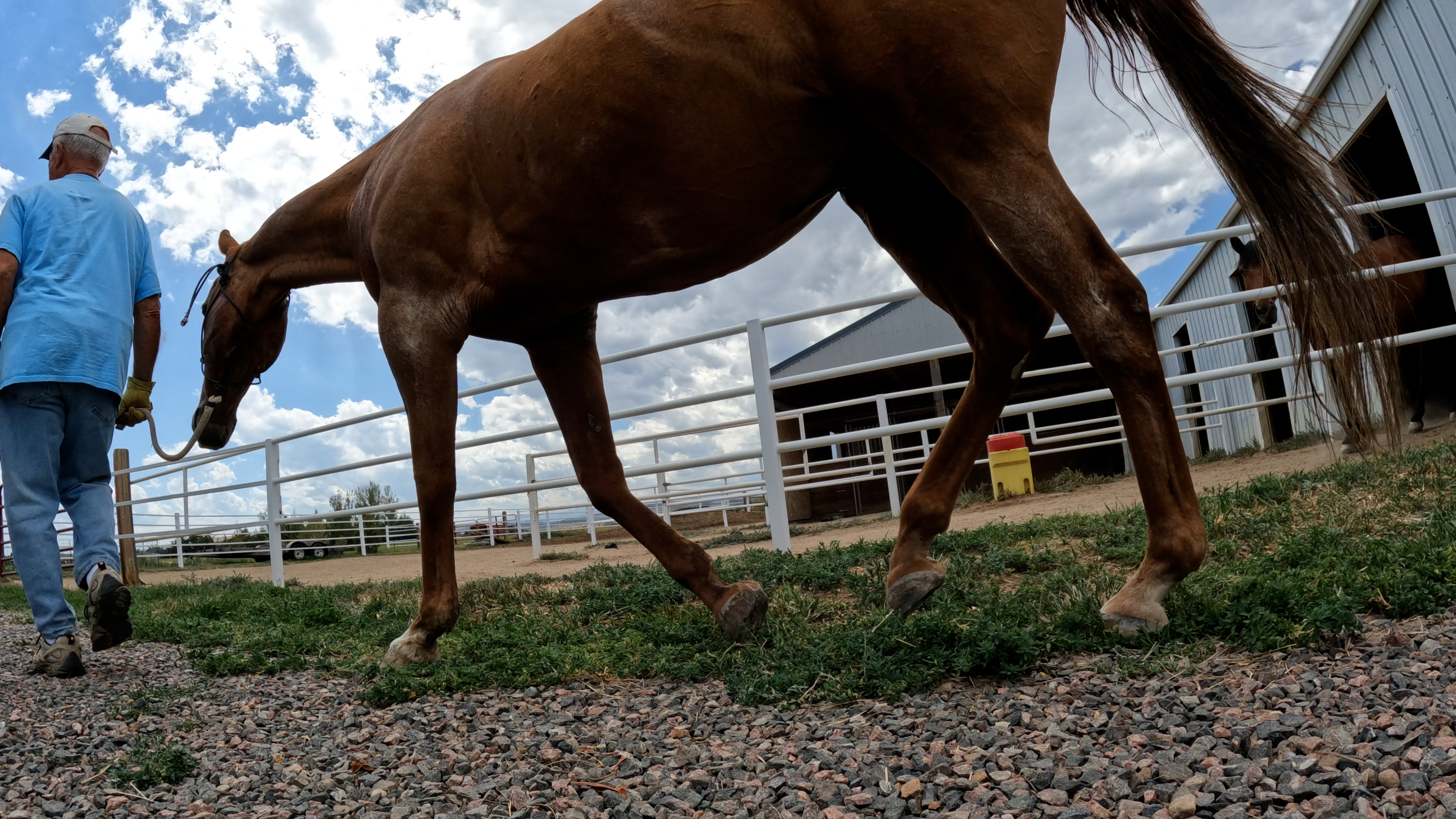 Larimer County Horseman's Association.jpg