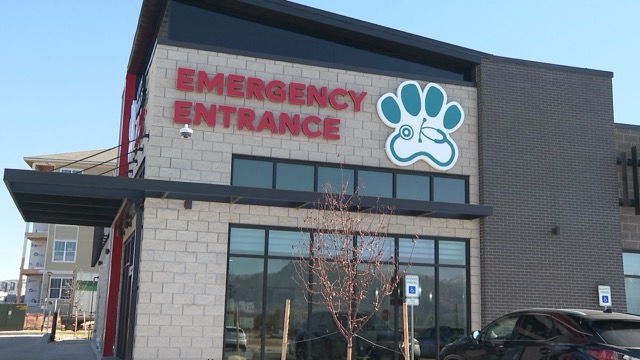 North Springs Veterinary Referral Center.jpeg