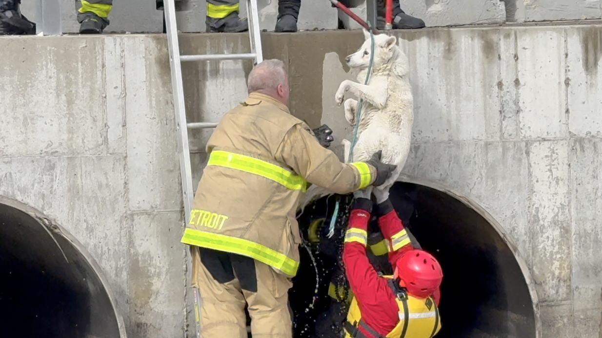 Screenshot 2026-02-23 at 7.09.37 PM.png