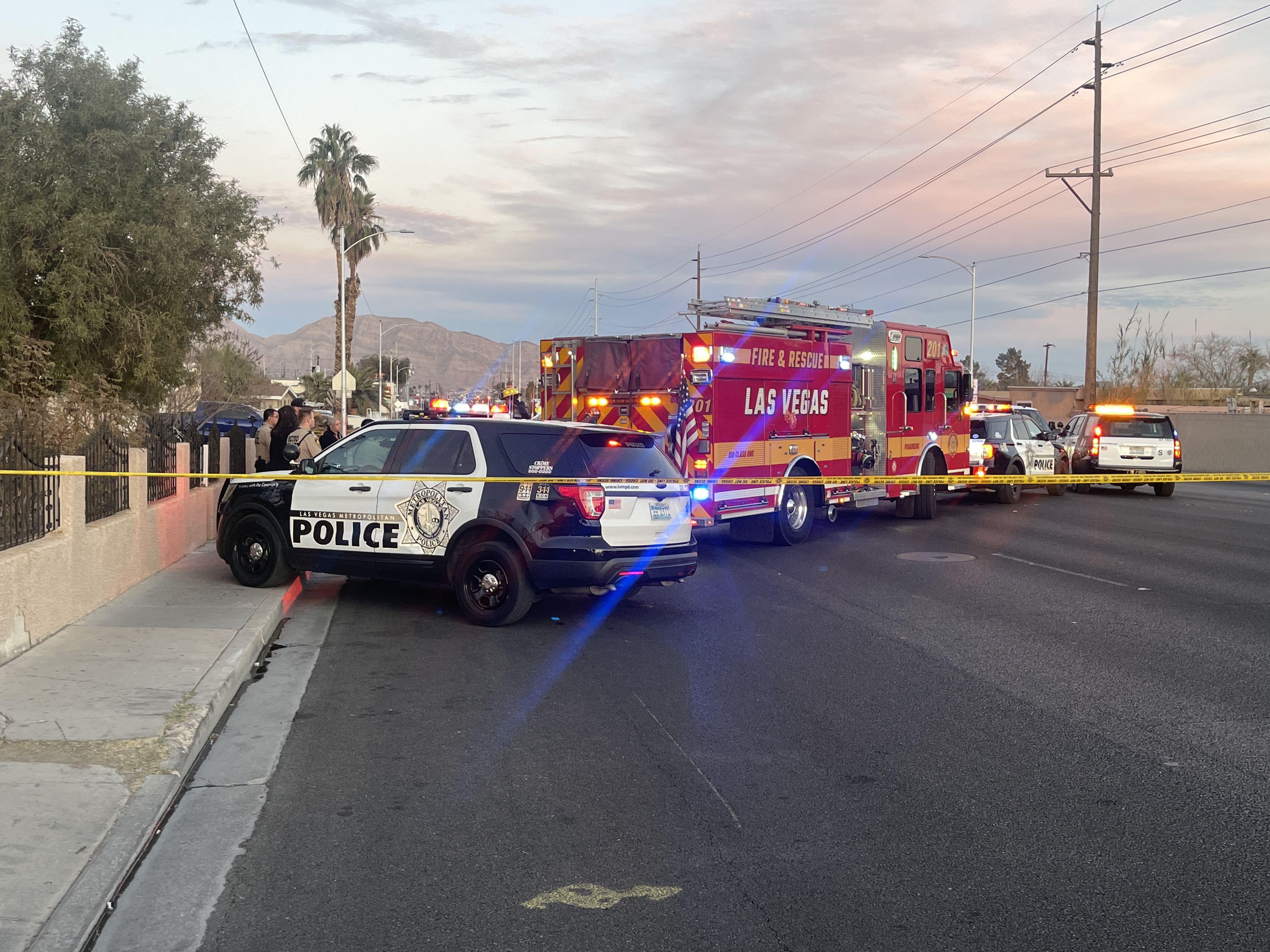 Man dies stuck in palm tree, authorities say