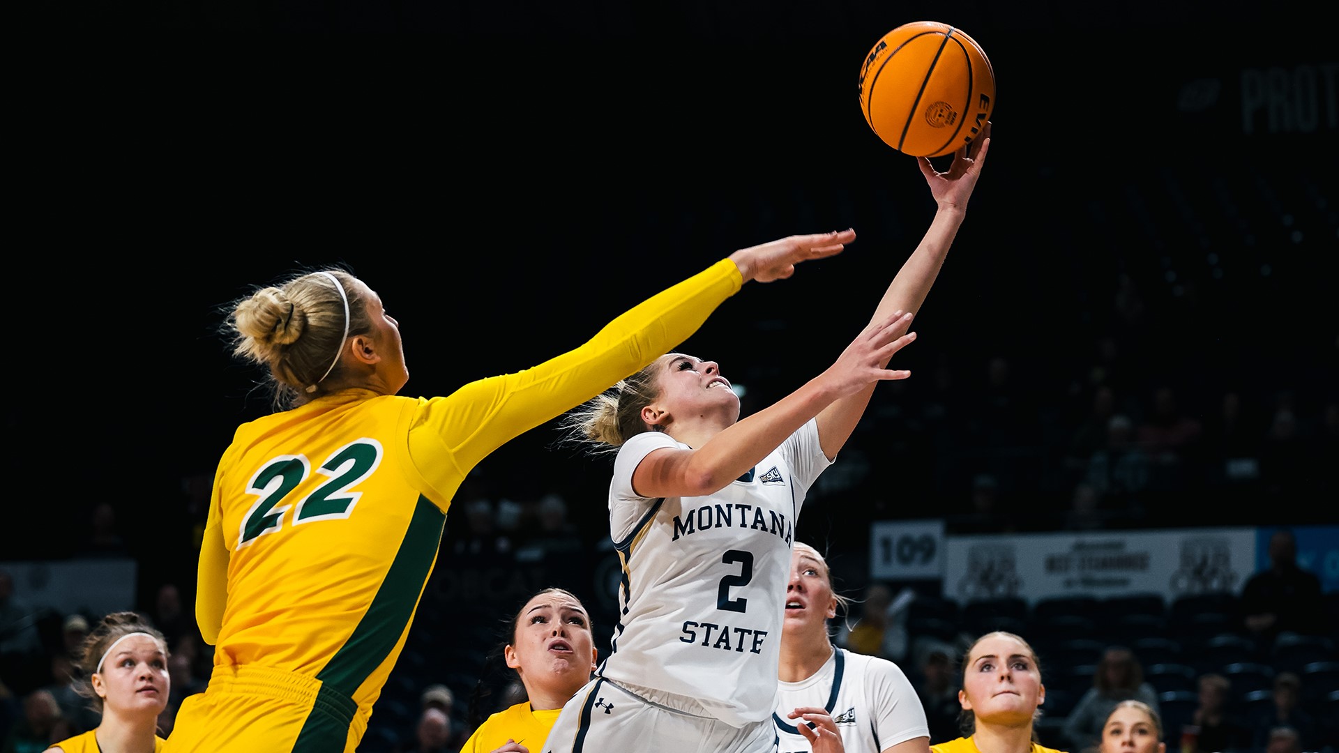 Natalie Picton vs. NDSU