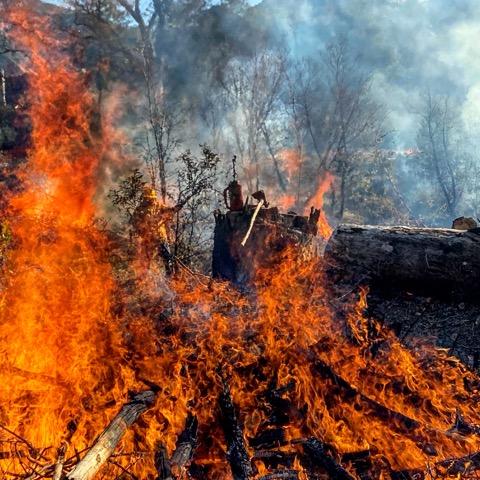 prescribed pile burn lpnf.jfif