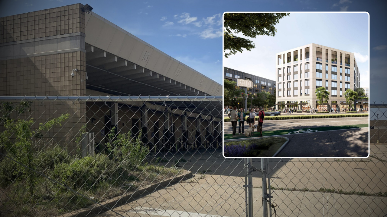 Scott THUMB Greyhound.png