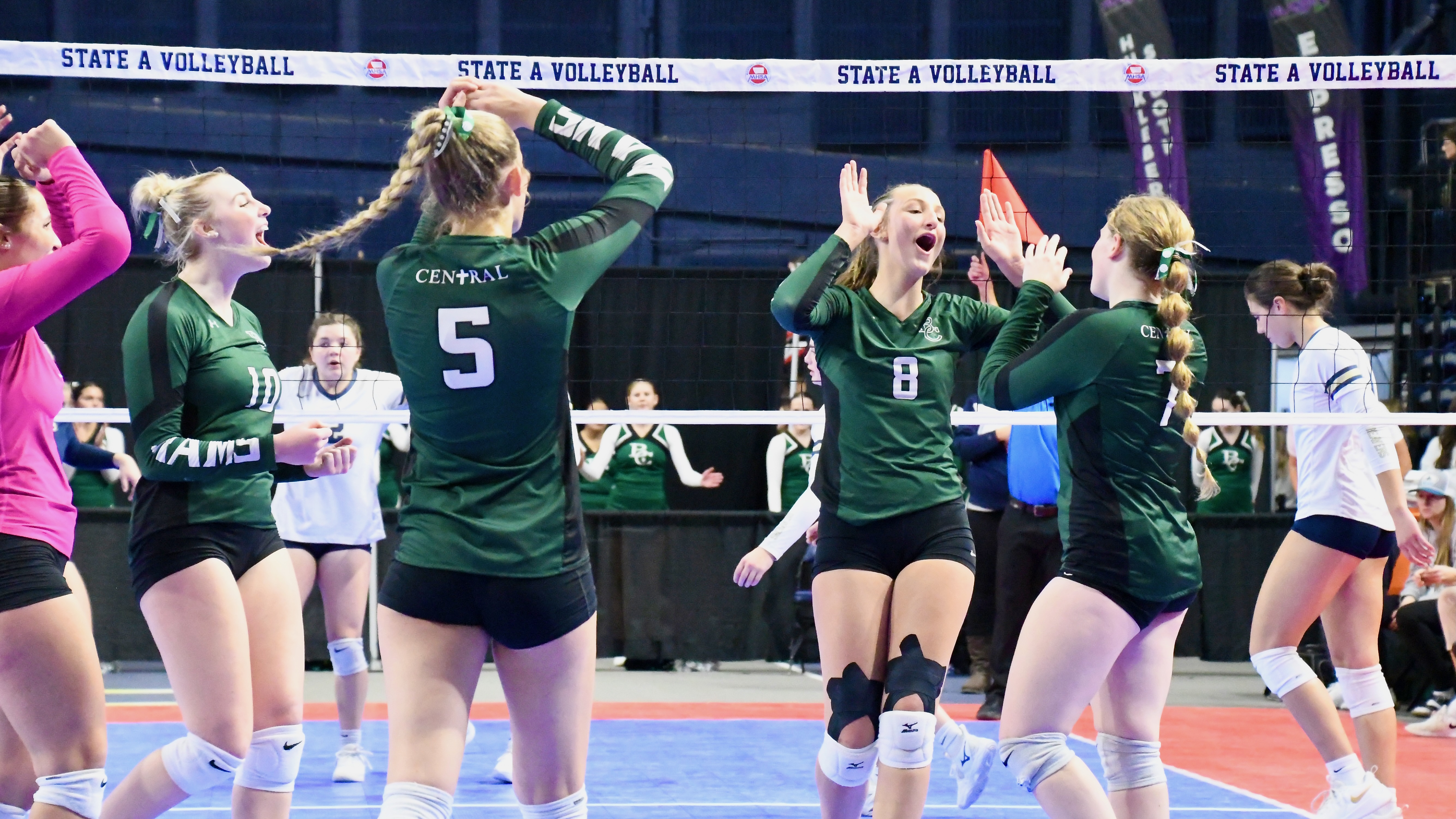 State volleyball